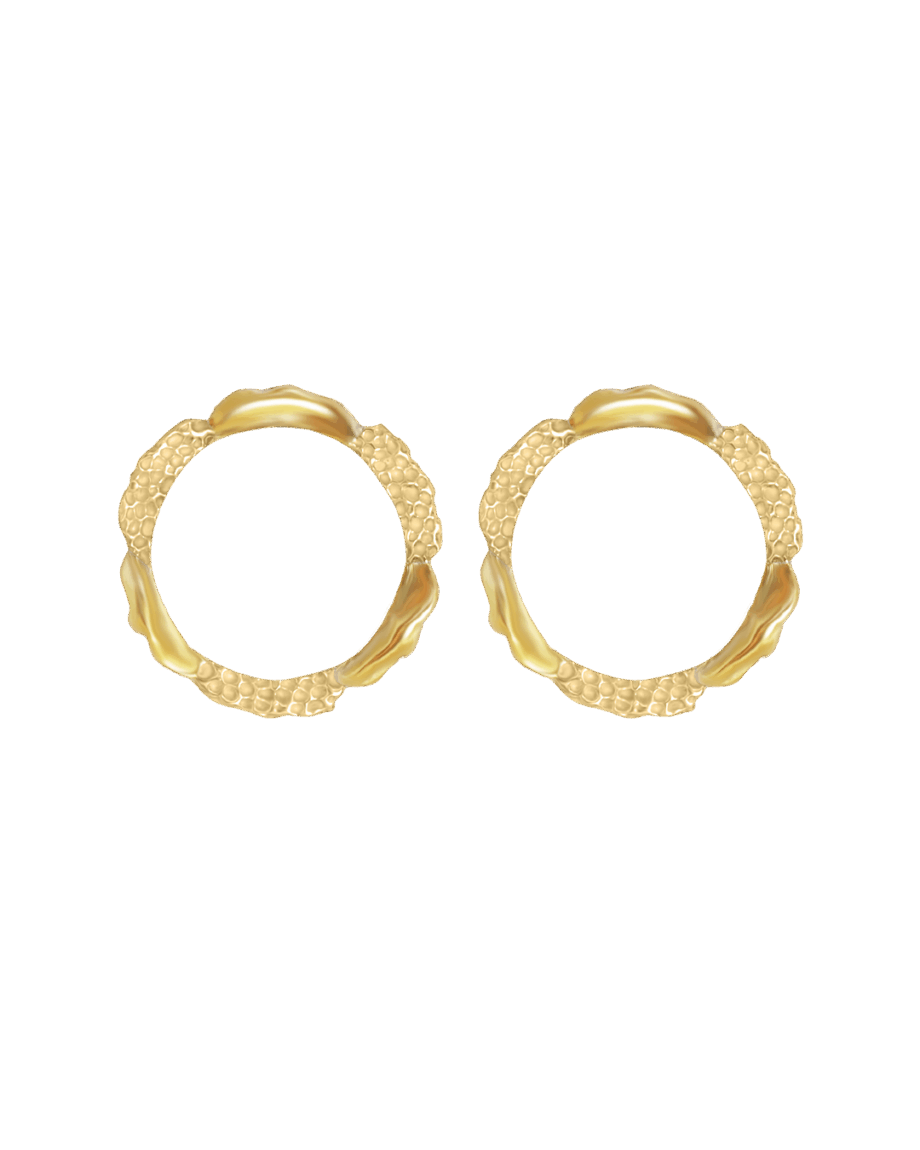 Amusement Earrings